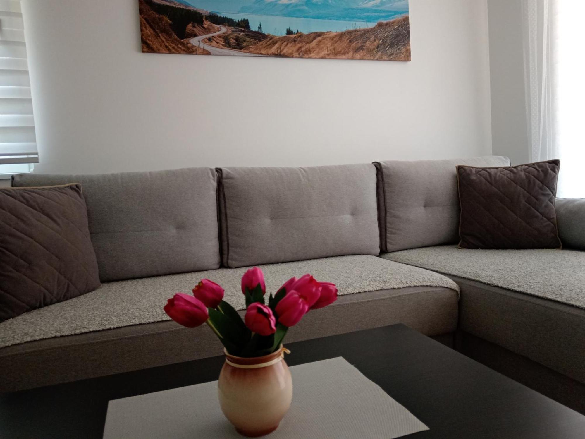 Appartement Mk Zlatibor Extérieur photo